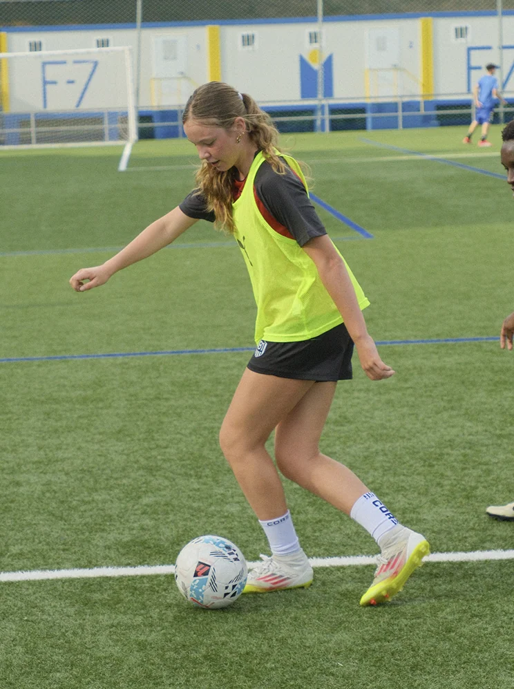 Personalized Tutoring